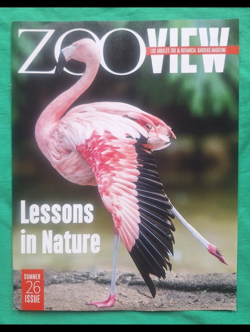 Los Angeles Zoo Zoo View Magazine Summer 2026 Issue Member Magazine